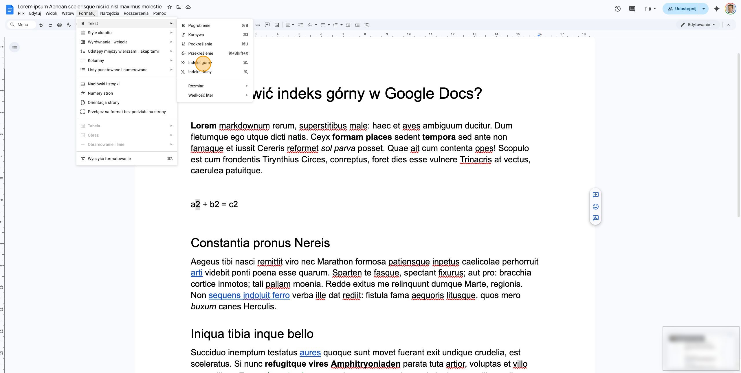 Zaznacz kolejny znak do sformatowania